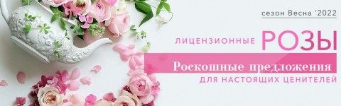 Живена Интернет Магазин Цветов Каталог Весна 2022