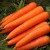 Морковь Император (Овощная коллекция)