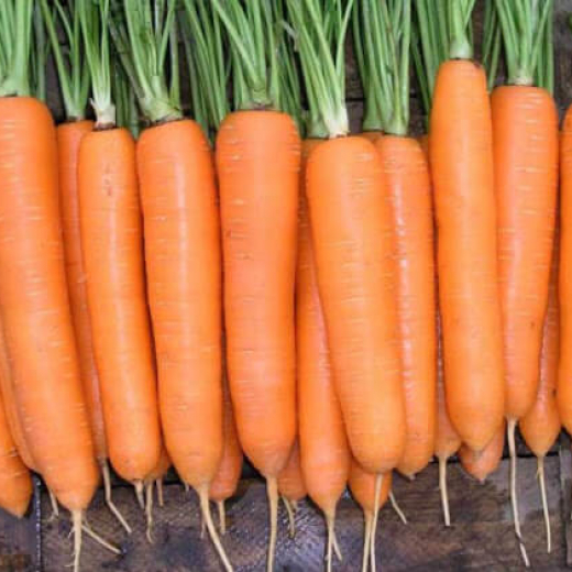 Морковь столовая Сиркана F1 Semena Luxe