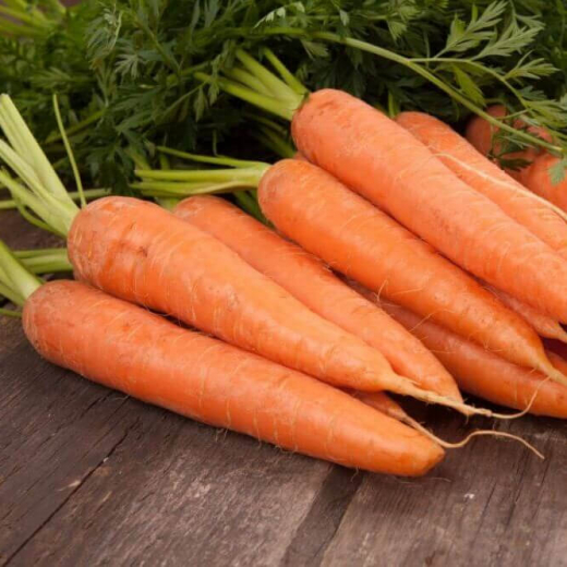 Морковь Каротина