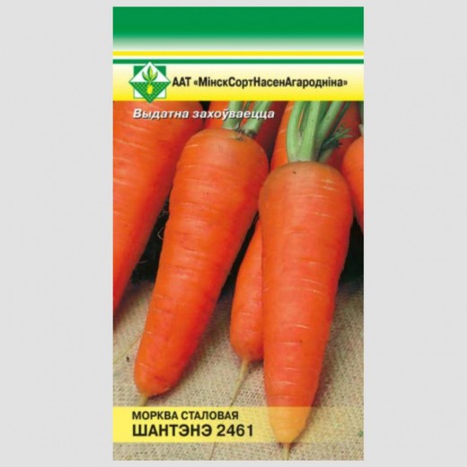 Морковь Шантенэ 2461 столовая