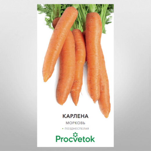 Морковь Карлена Procvetok