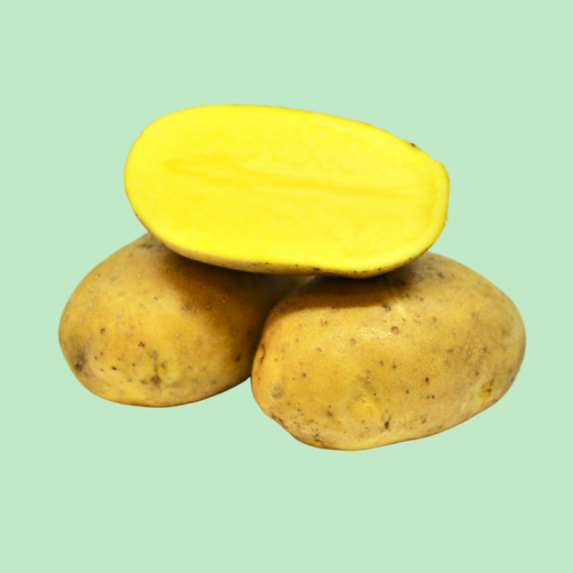 Картофель семенной Миа 5 кг