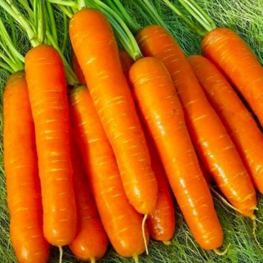 Морковь Фея (сер. Заморозь)