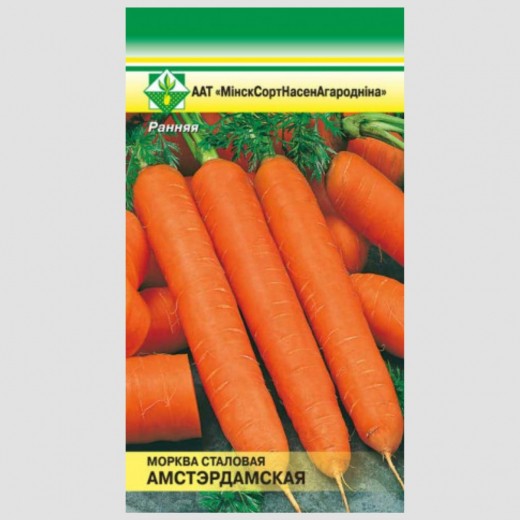 Морковь Амстердамская столовая
