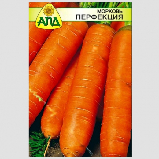 Морковь Перфекция