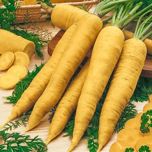 Морковь Мармелад желтый