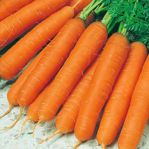 Морковь на ленте Осенний король 8 м