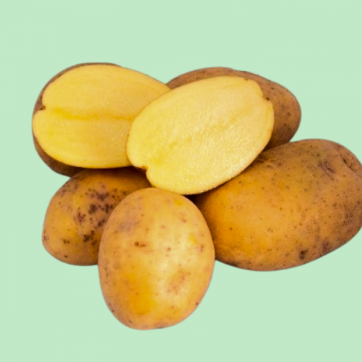 Картофель семенной Ювел 5 кг
