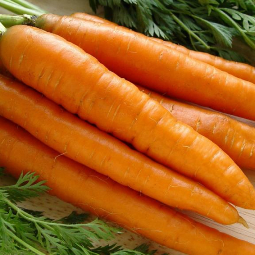 Морковь Добрыня (серия Русский вкус)