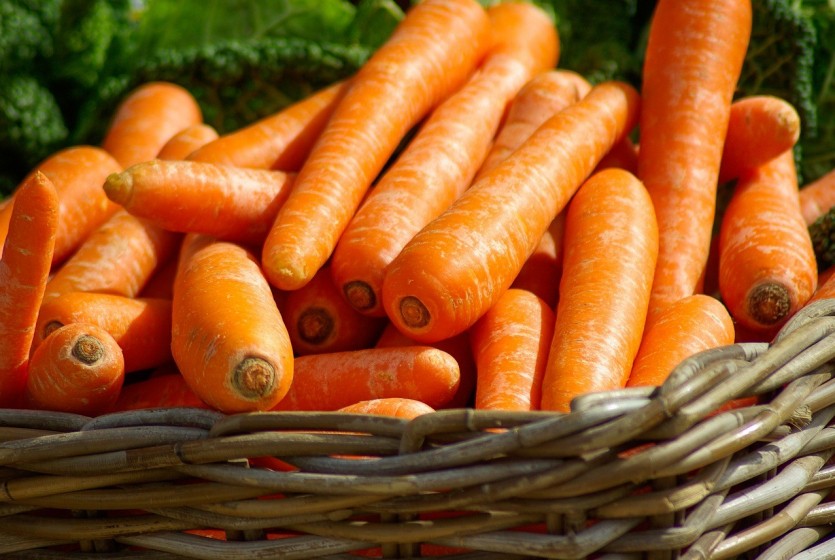 Отвечает эксперт. Как вырастить морковь идеальной формы: причины неровныхкорнеплодов