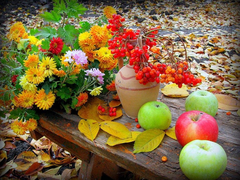 Какие цветы осенью выгледят особенно привлекательно?