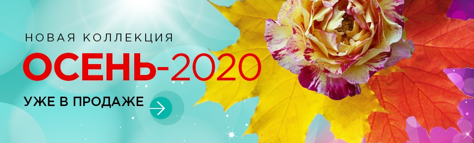 Интернет Магазин Процветок Каталог На 2022